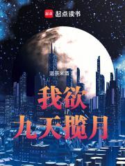 始皇在上茶树菇百度