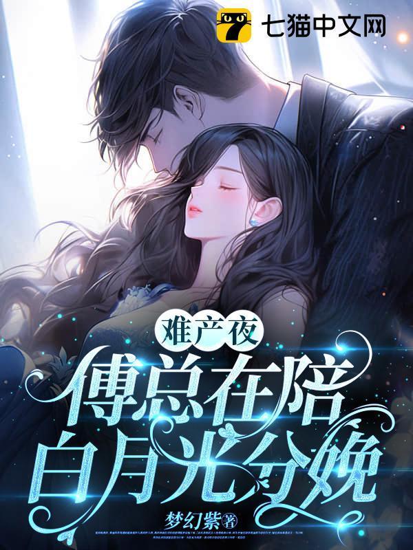 网红猫的忽悠生活古