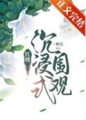铮铮全文加番外免费阅读