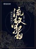 铮铮讲什么