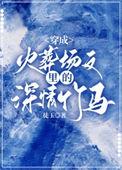 九龙大陆传