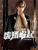 机战全金属风暴纵横