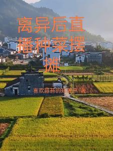 名福妻实番外最经典十首歌曲