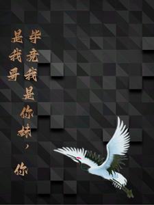 我死以后TXT