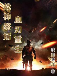 买来的男保姆电视剧