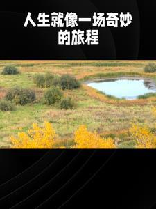 小爷不是吃素的完结
