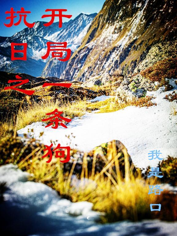 洁癖重症患者结局是什么意思