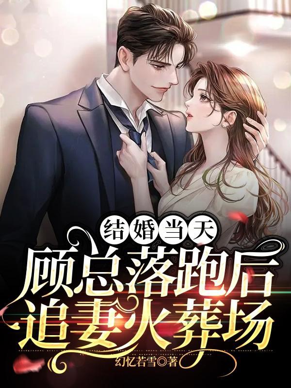 兔子 黏人