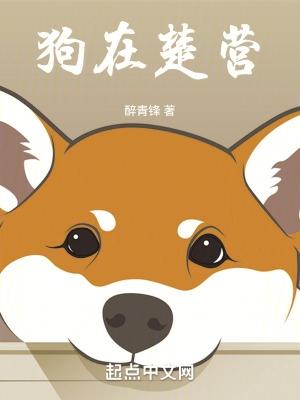校花的贴身道士 来梦晨