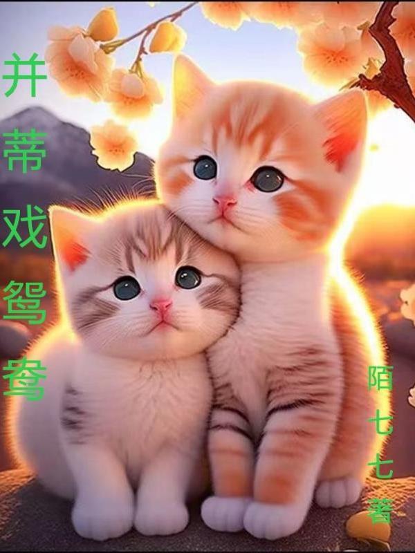 歌曲一杯黄縢酒