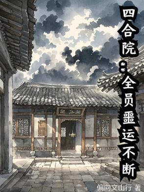 冬至的秘密by牛角弓讲什么