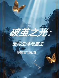 冬至的秘密讲的什么