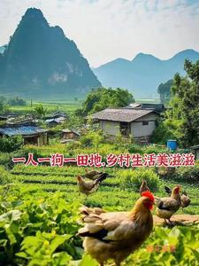 半世韶光多蝶梦