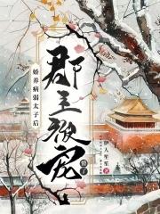 嫡长孙时不待我