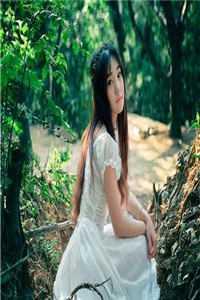 七宝姻缘讲的什么