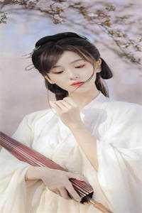 歌曲苍龙