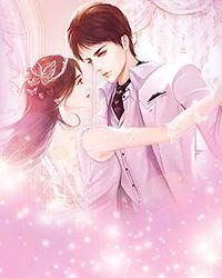 重生之王爷妻管严200