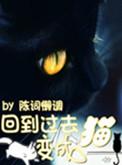 老婆你好作者月下蝶影