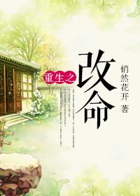 离婚前我失忆了全文阅读